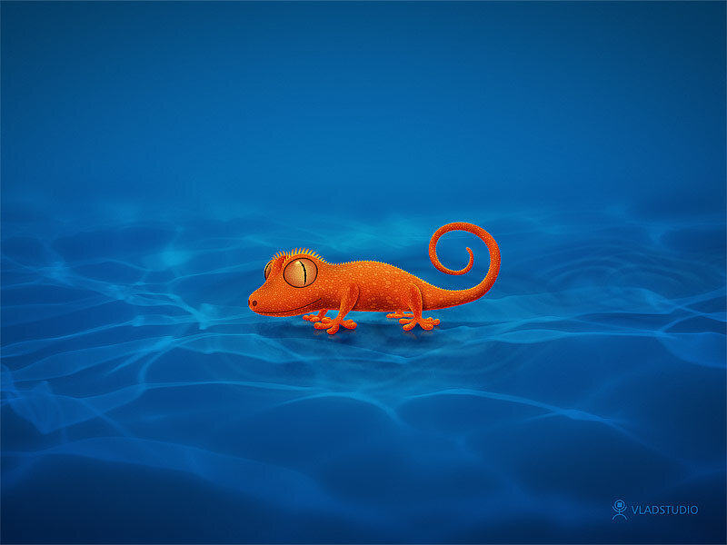 orange gecko underwater