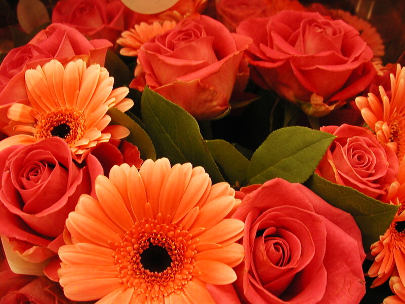 Orange Gerbera and Roses