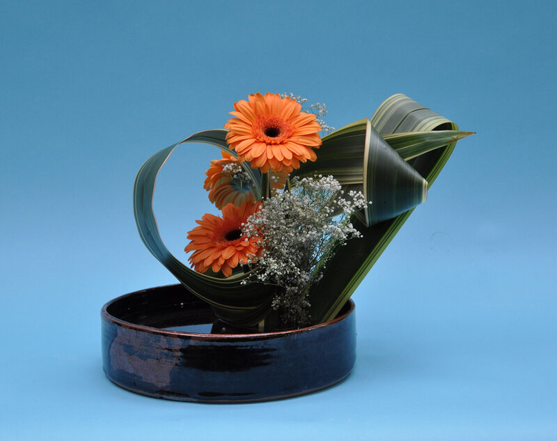 Orange Gerbera Daisies — Blue