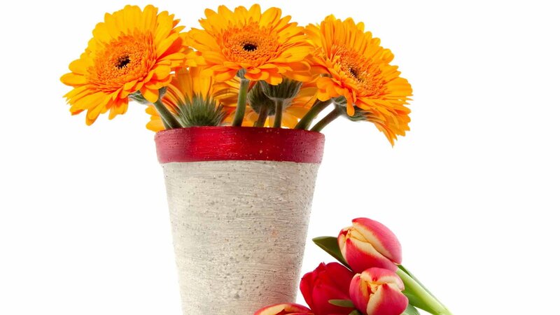 Orange Gerbera Daisies — Calm, Photograph