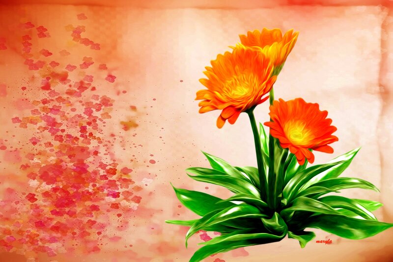 Orange Gerbera Daisies — Vibrant, Digital Art