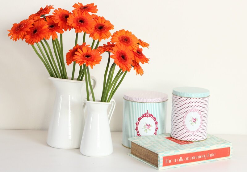 Orange Gerbera Daisies — White