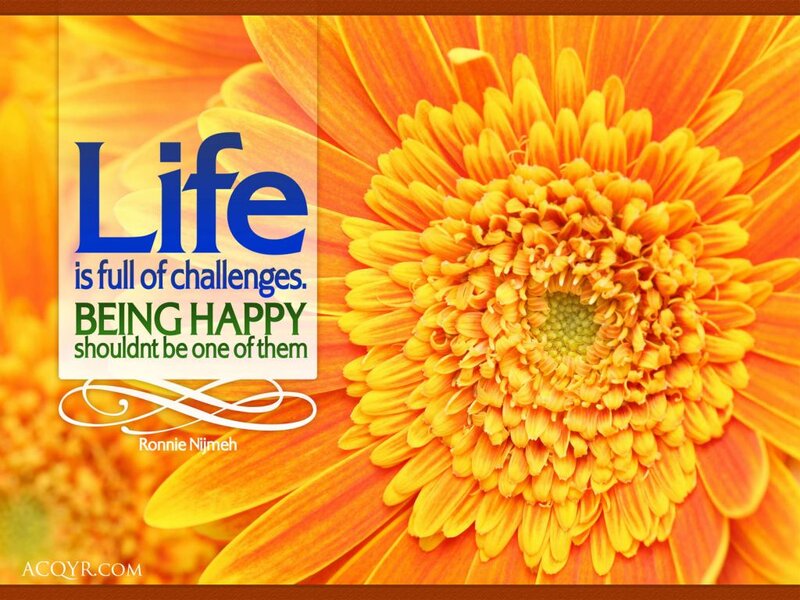 Orange Gerbera Daisy — Yellow, Inspirational