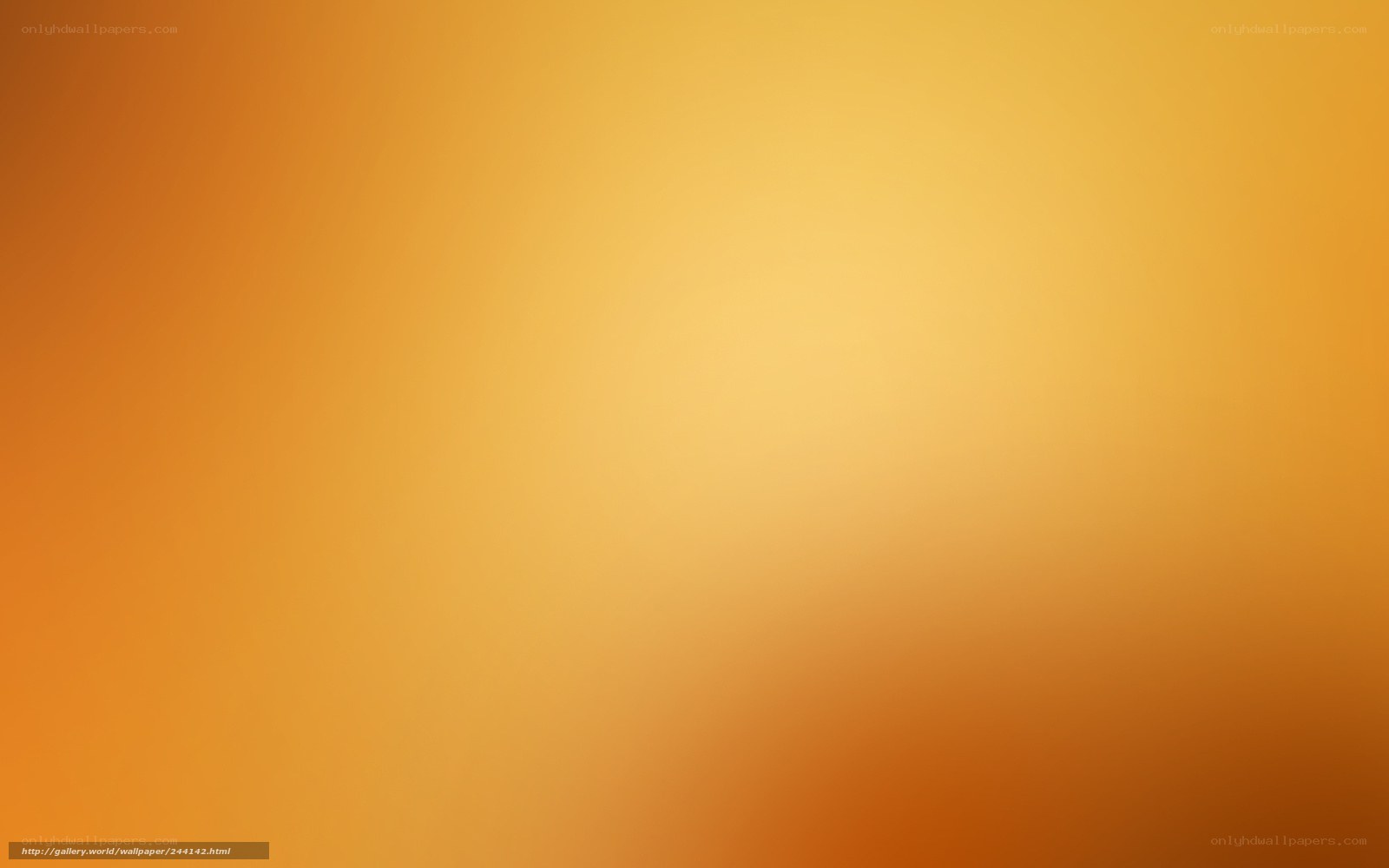 orange gradient background
