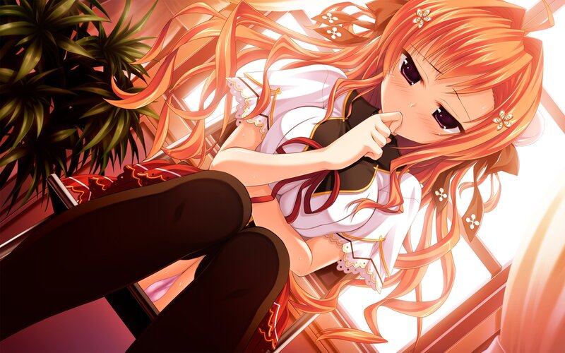 Orange-haired Anime Girl — Orange, Dramatic, Plant