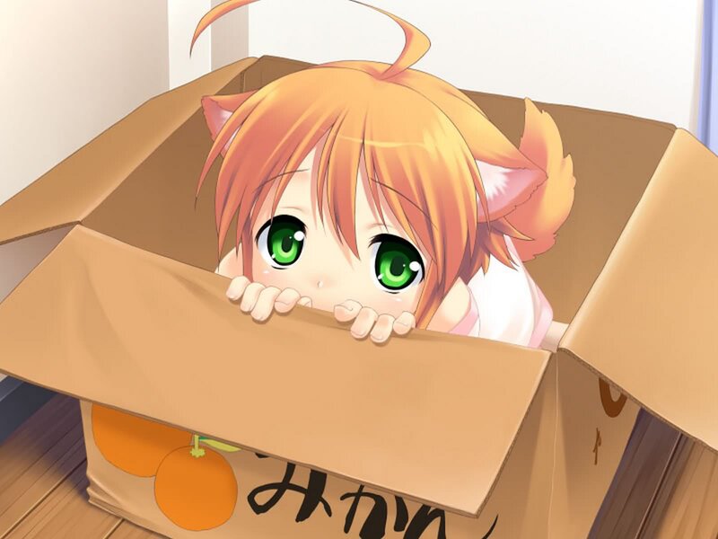 Orange-haired Cat Girl — Orange