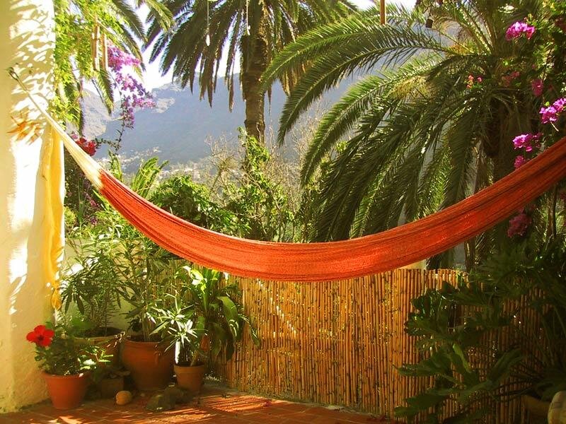 Orange Hammock in Garden