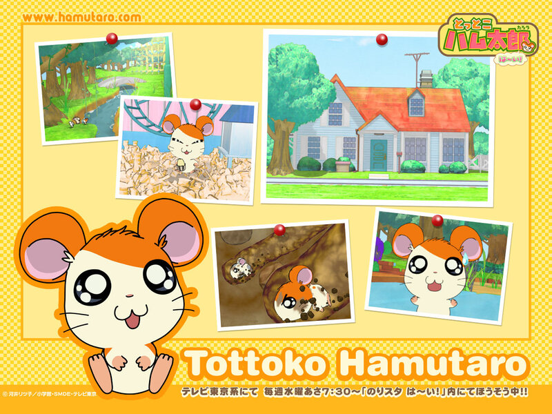 Orange Hamster Character