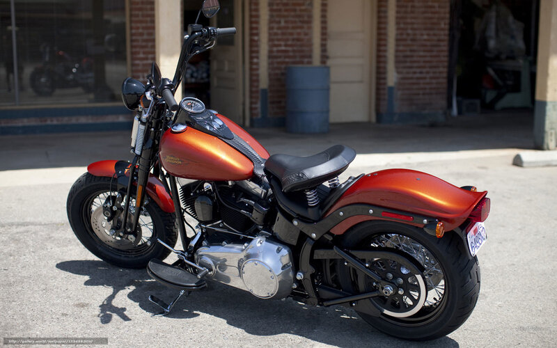 Orange Harley-Davidson Motorcycle — Calm