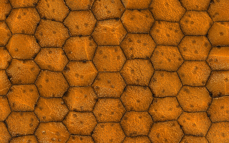orange hexagonal texture