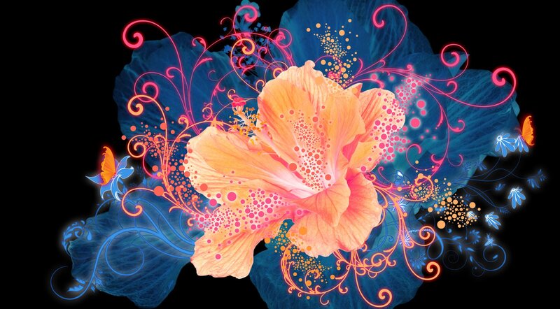 Orange Hibiscus Flower — Vibrant, Digital Art, Butterfly, Swirls