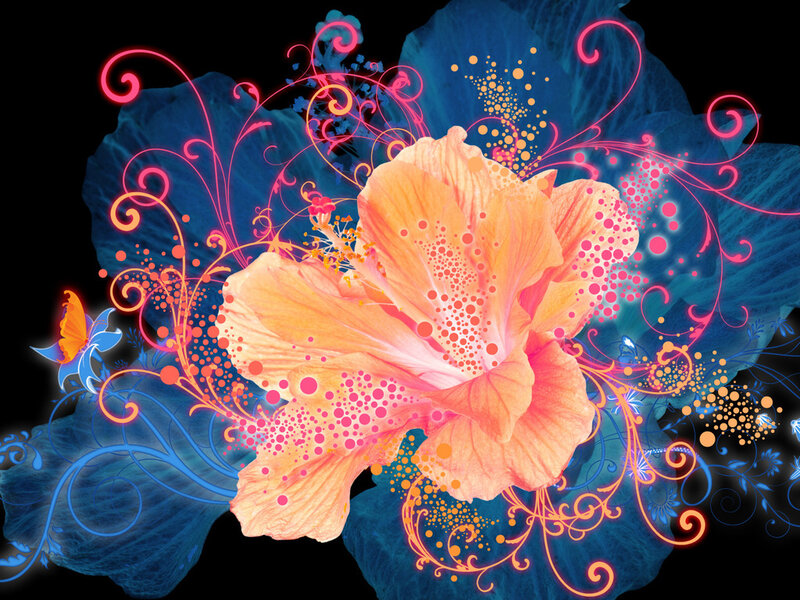 Orange Hibiscus Flower — Vibrant