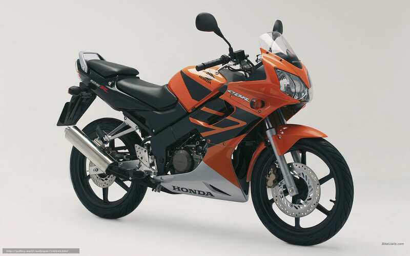 Orange Honda CBR Motorcycle — Neutral