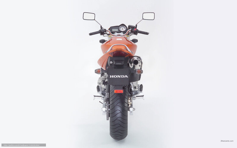 orange honda motorcycle rear view