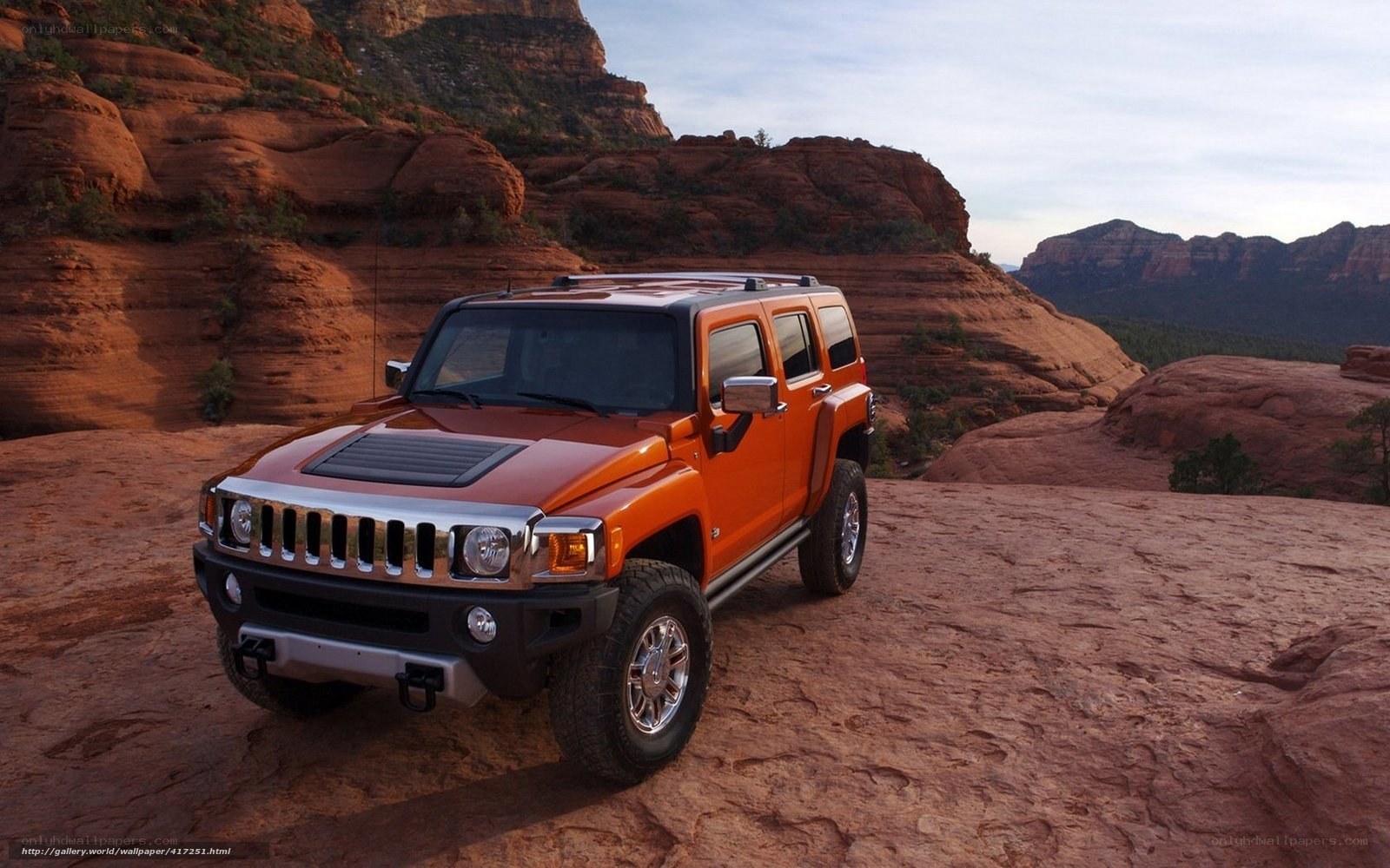Orange Hummer in desert canyon