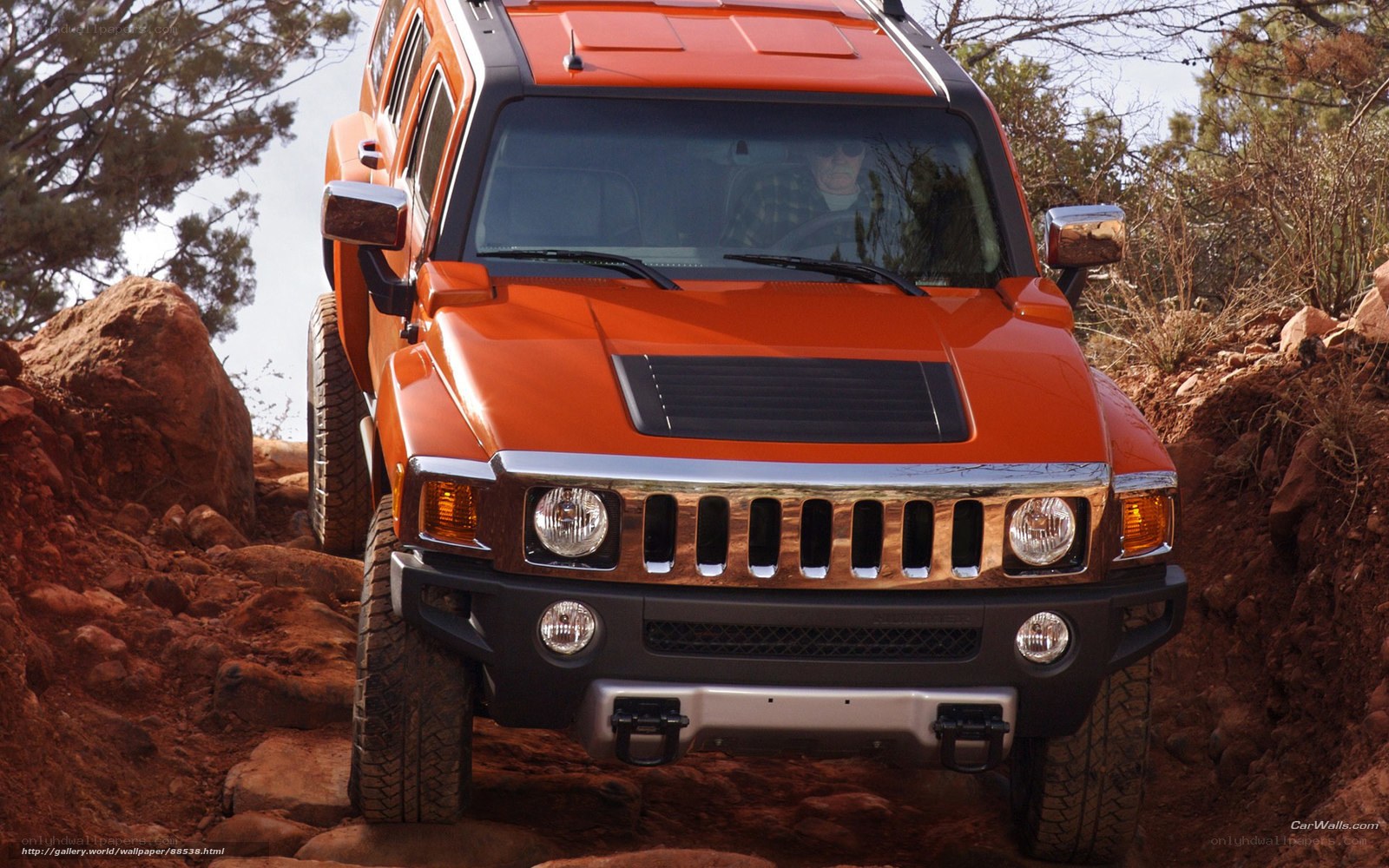 Orange Hummer on rocky terrain