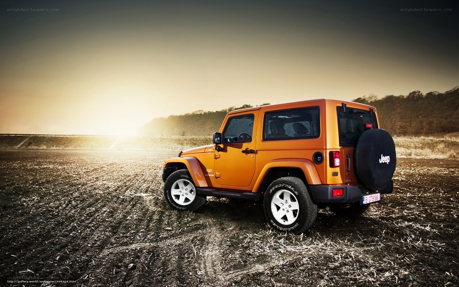 Orange Jeep in a field