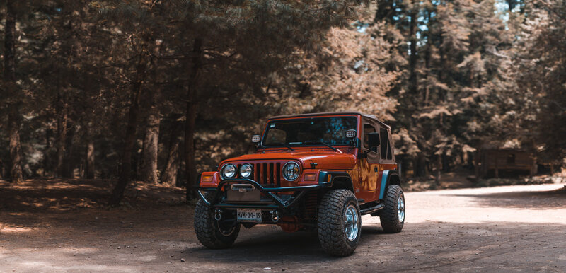Orange Jeep in Forest