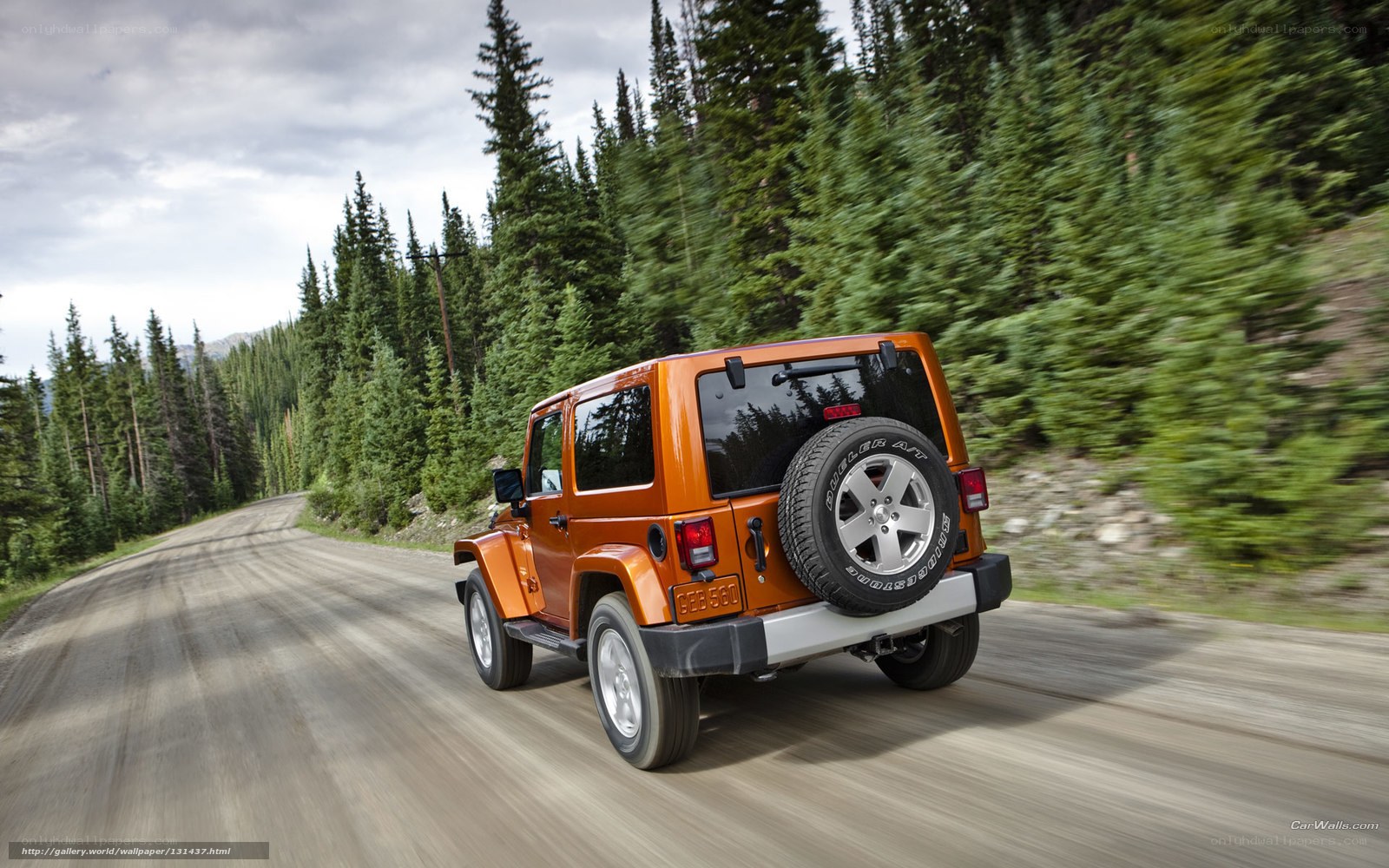 Orange Jeep on forest road
