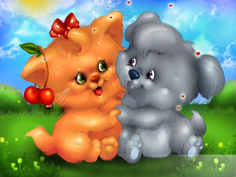 Orange Kitten and Gray Puppy