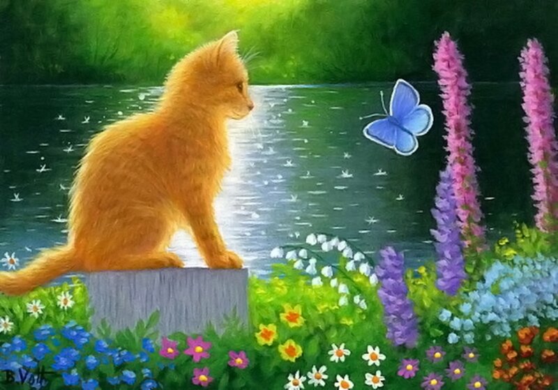 Orange Kitten by Pond