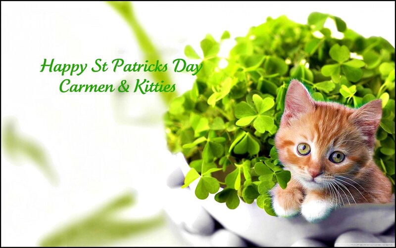 Orange Kitten in Clovers — Green
