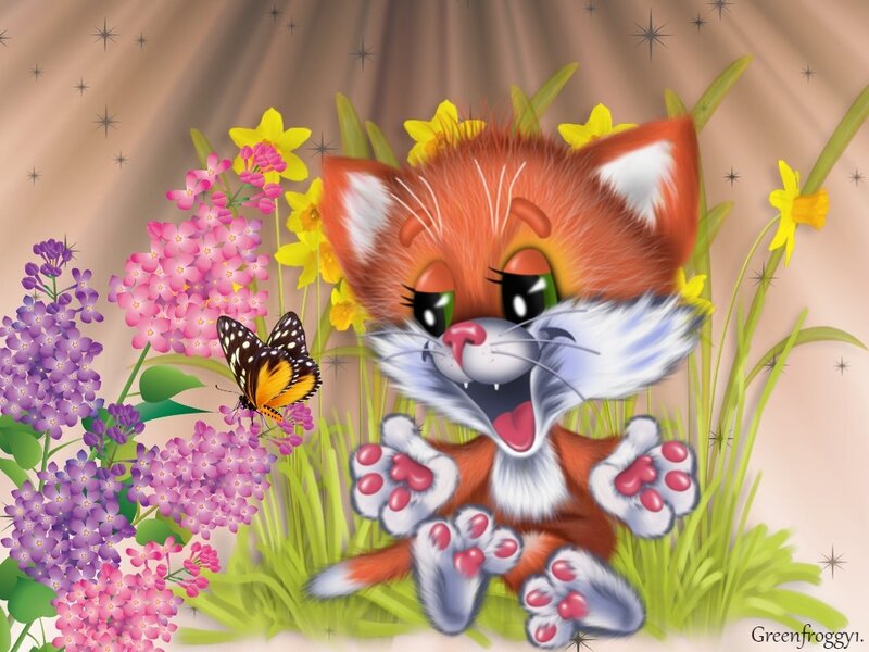 Orange Kitten in Flowers — Playful
