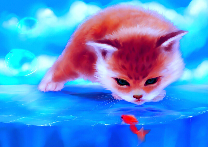 Orange Kitten in Water — Blue, Calm