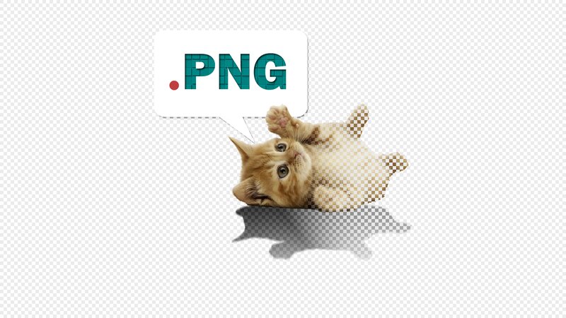 Orange Kitten Lying Down — Playful, Photograph, Speech Bubble