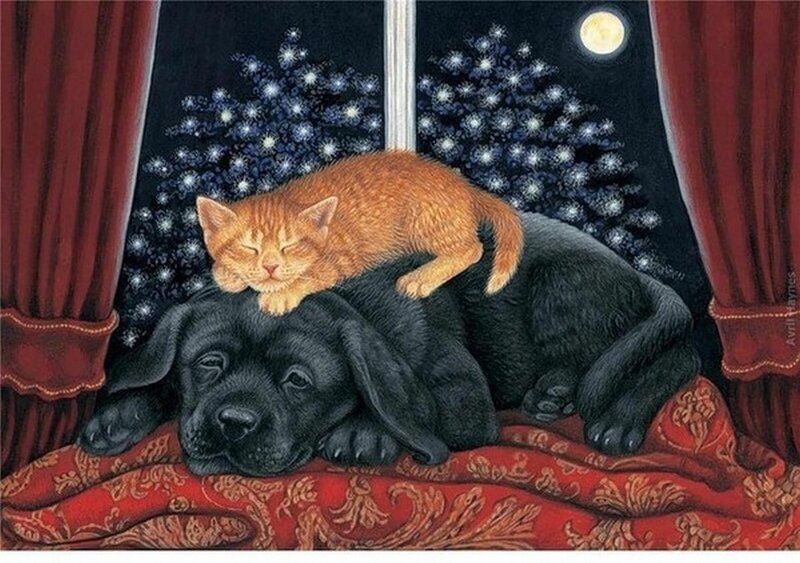 Orange Kitten on Black Puppy — Red, Peaceful