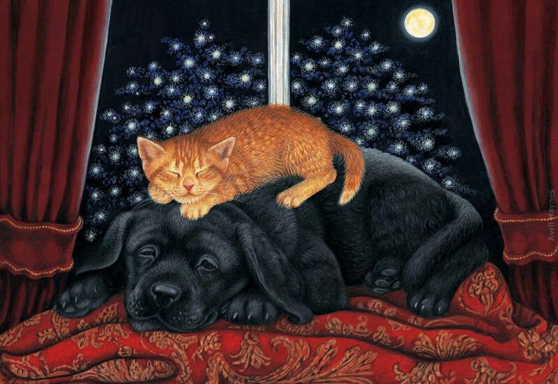 Orange Kitten on Black Puppy — Red, Serene