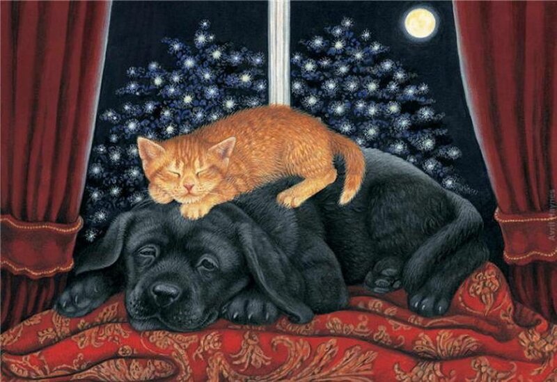 Orange Kitten on Black Puppy — Red
