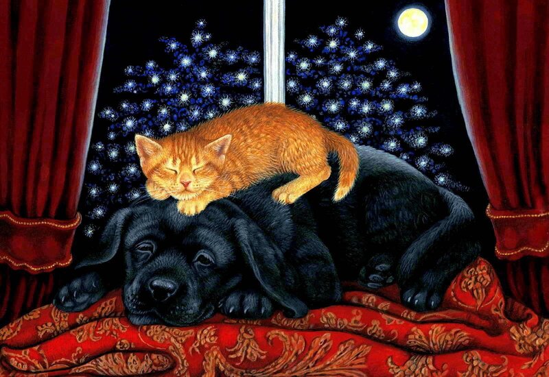 Orange Kitten on Black Puppy
