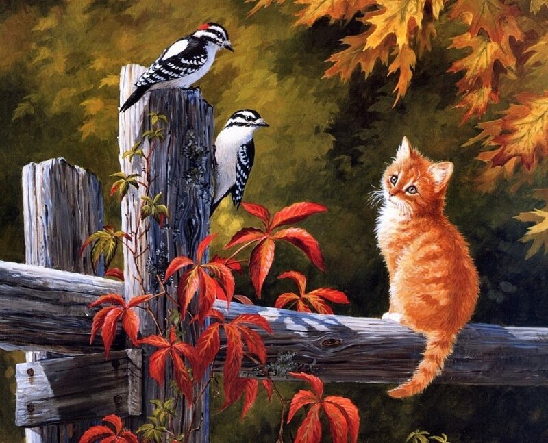 Orange Kitten on Fence
