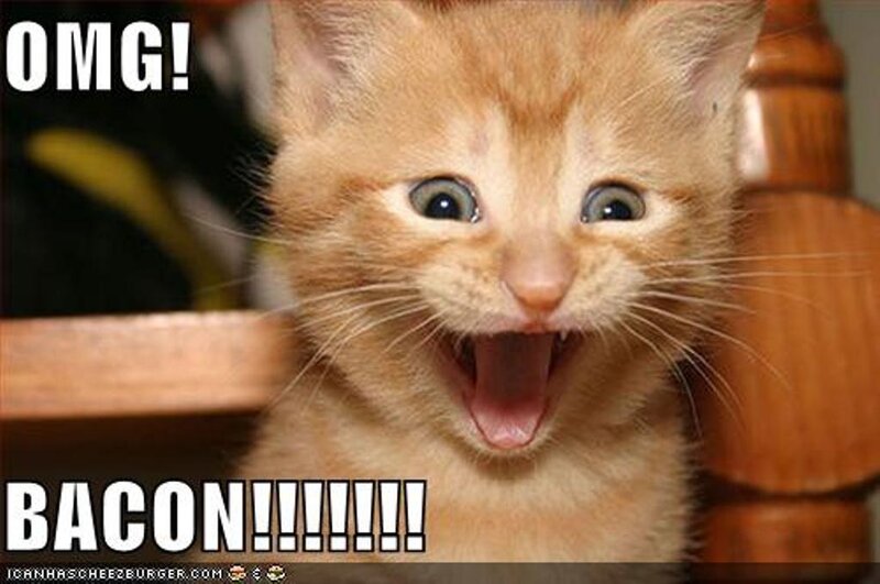 Orange Kitten — Surprised