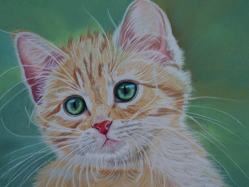 Orange Kitten with Green Eyes — Calm, Painting