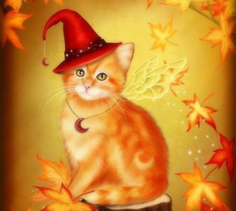 Orange Kitten with Hat