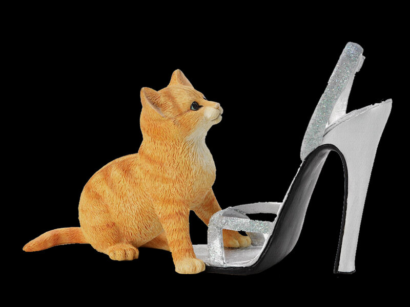 Orange Kitten with Shoe