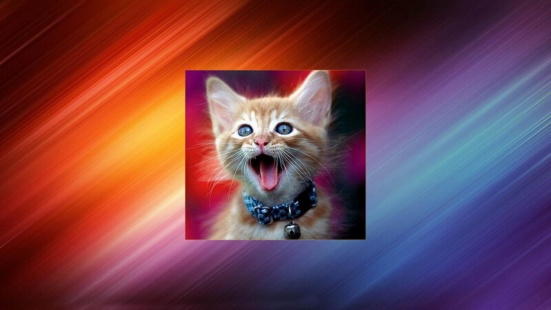 Orange Kitten Yawning — Red