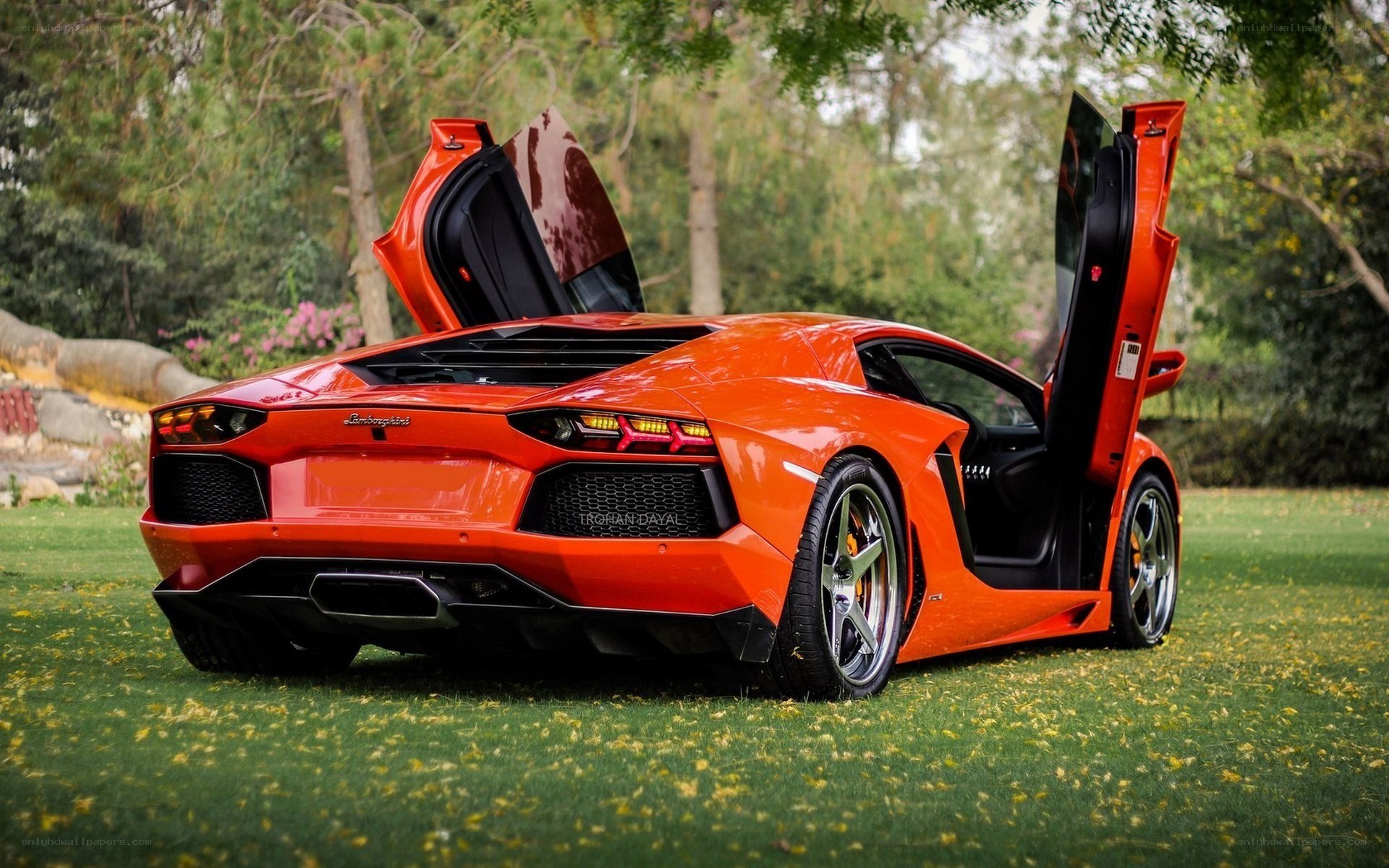 Orange Lamborghini Aventador