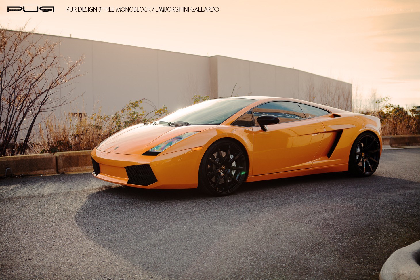 Orange Lamborghini Gallardo