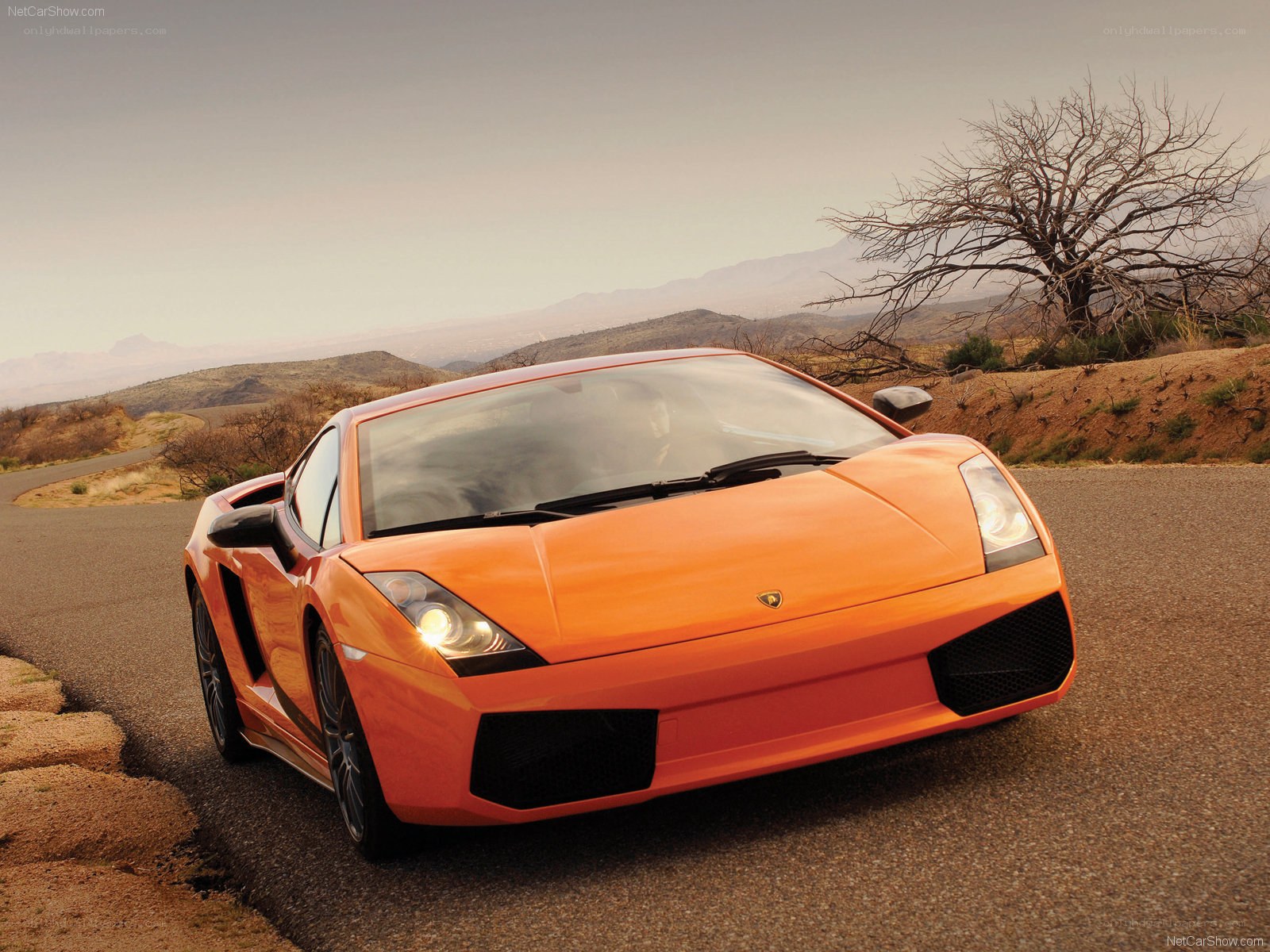 orange Lamborghini Gallardo