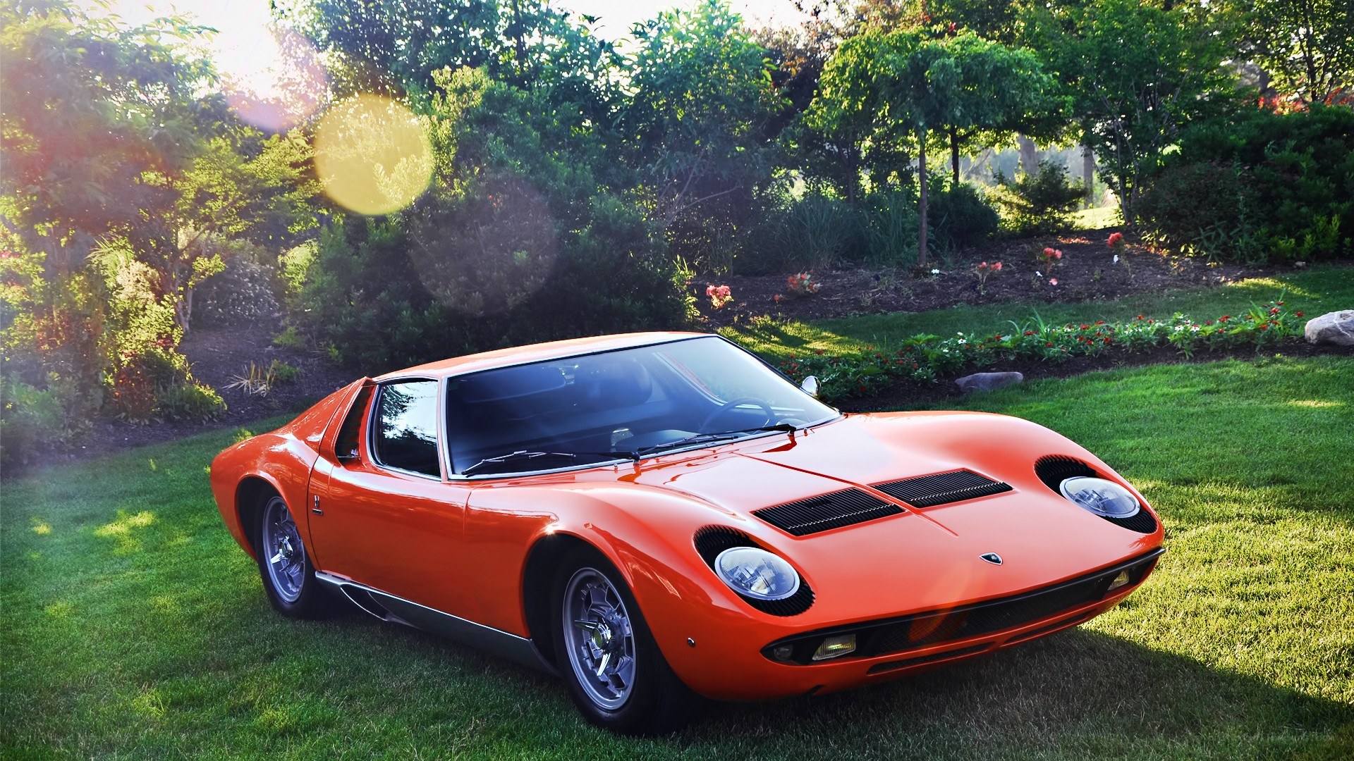 Orange Lamborghini in a garden