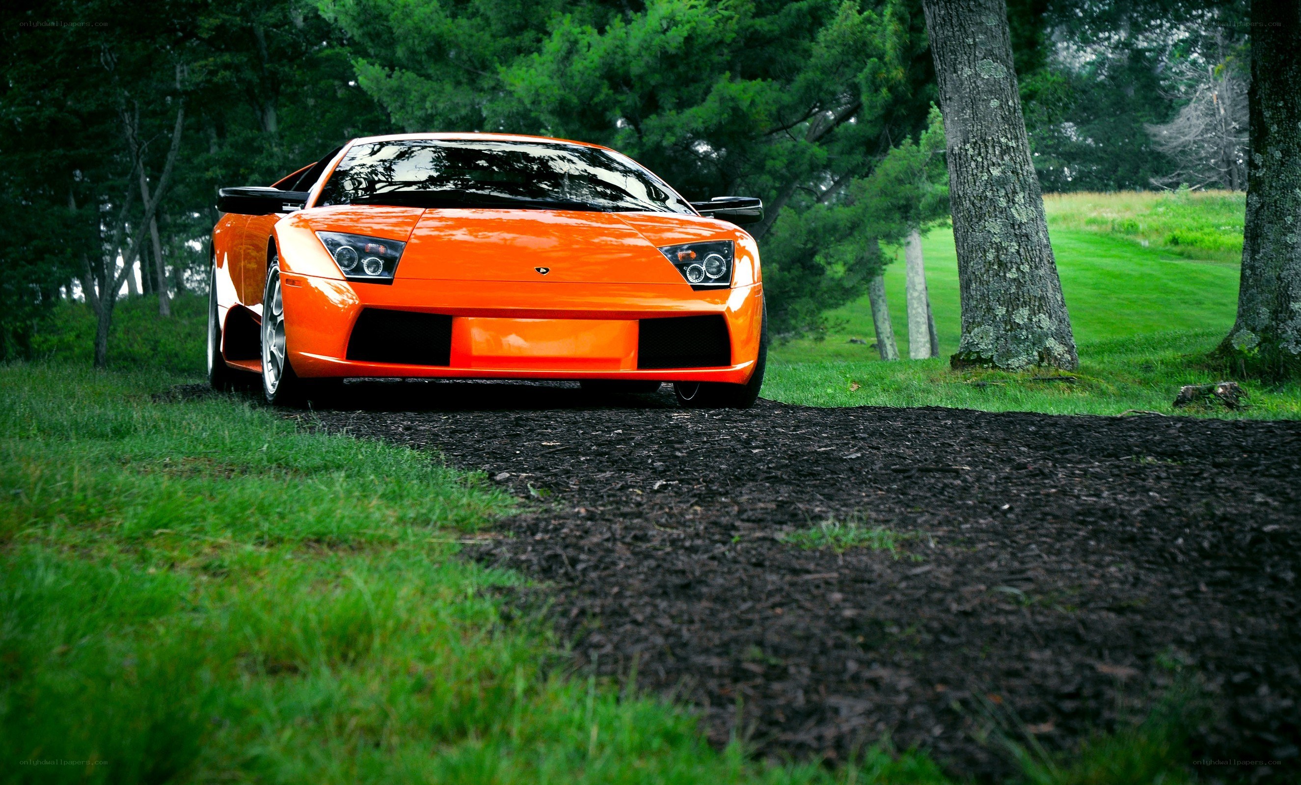 Orange Lamborghini in a park