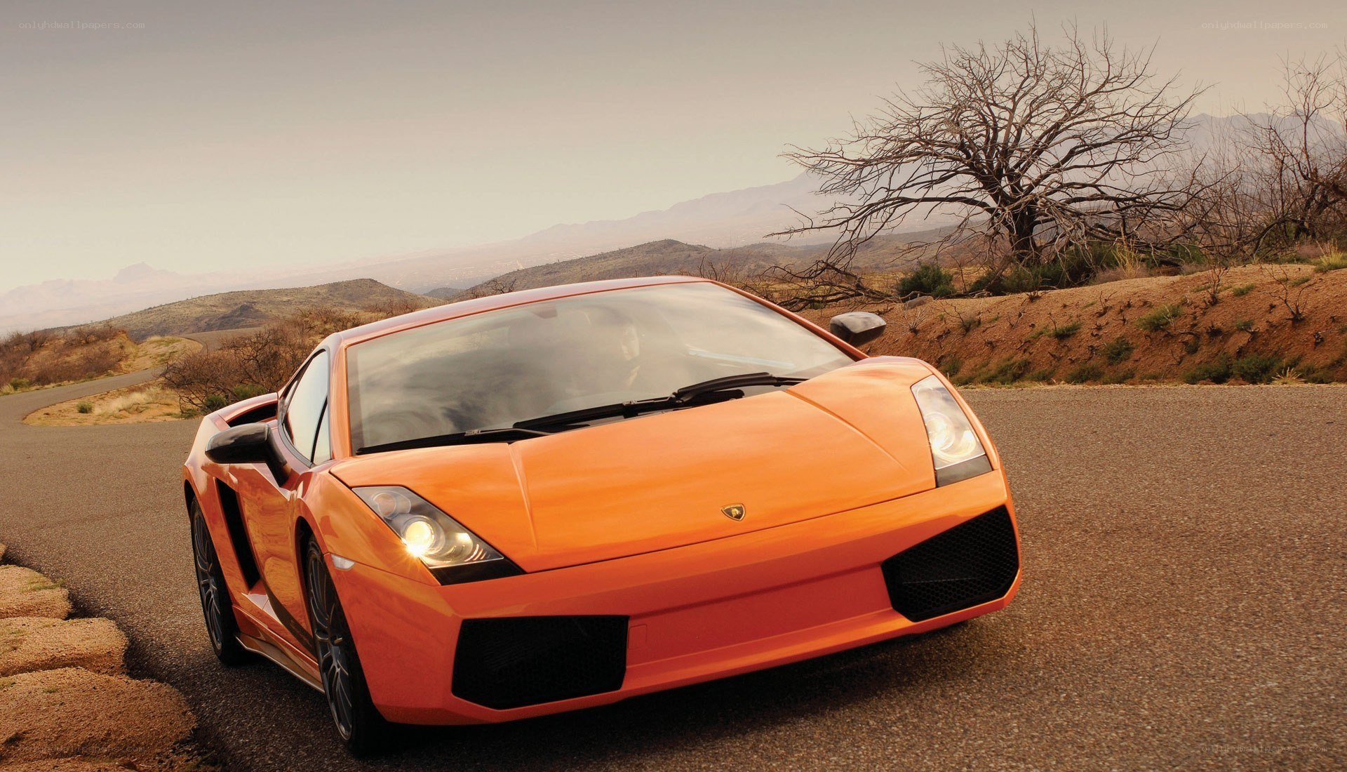 Orange Lamborghini in desert