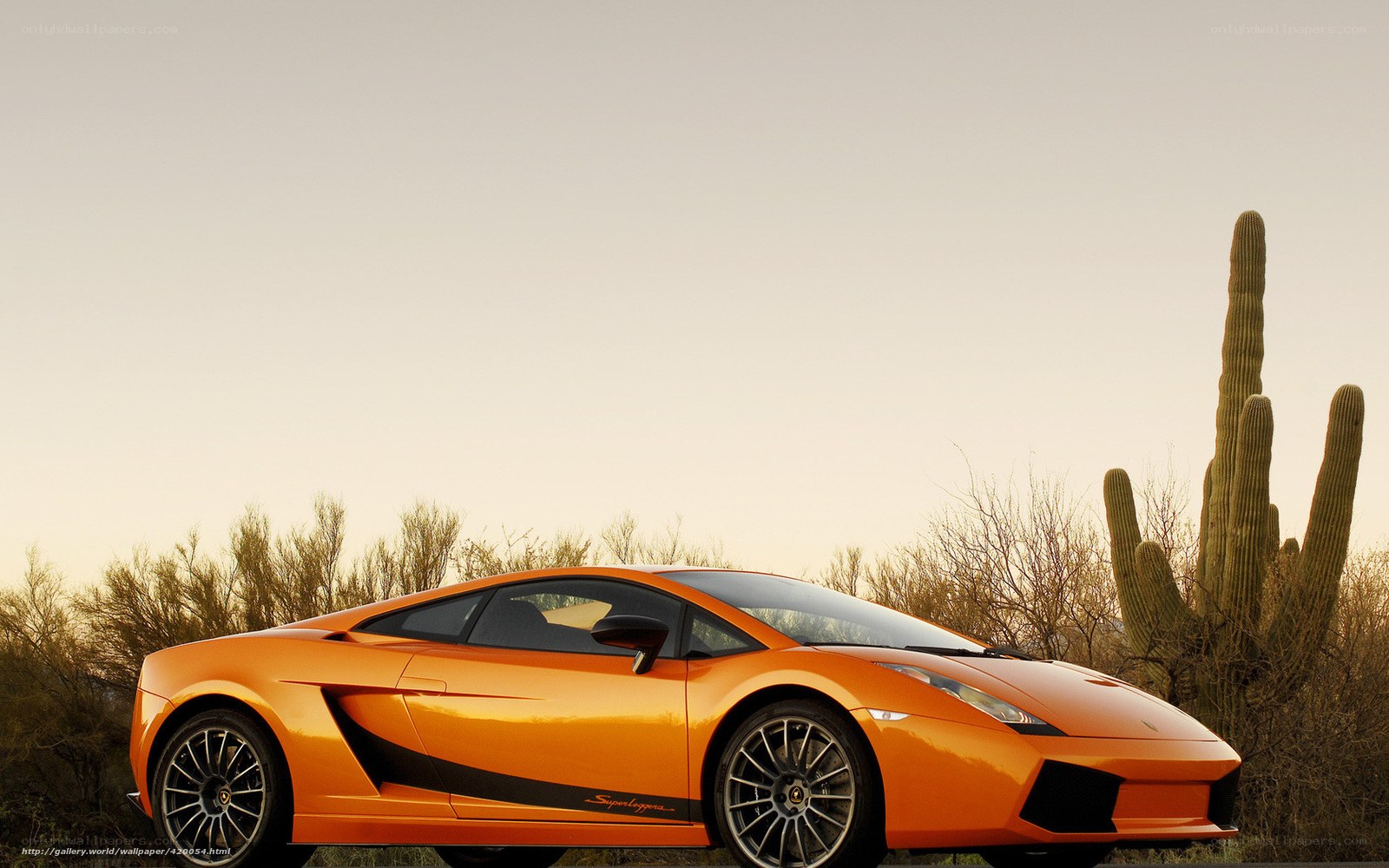 Orange Lamborghini in desert