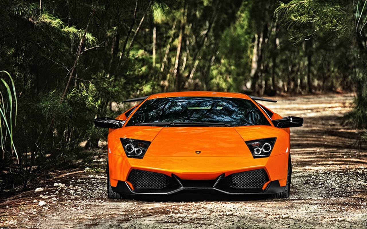 Orange Lamborghini in forest