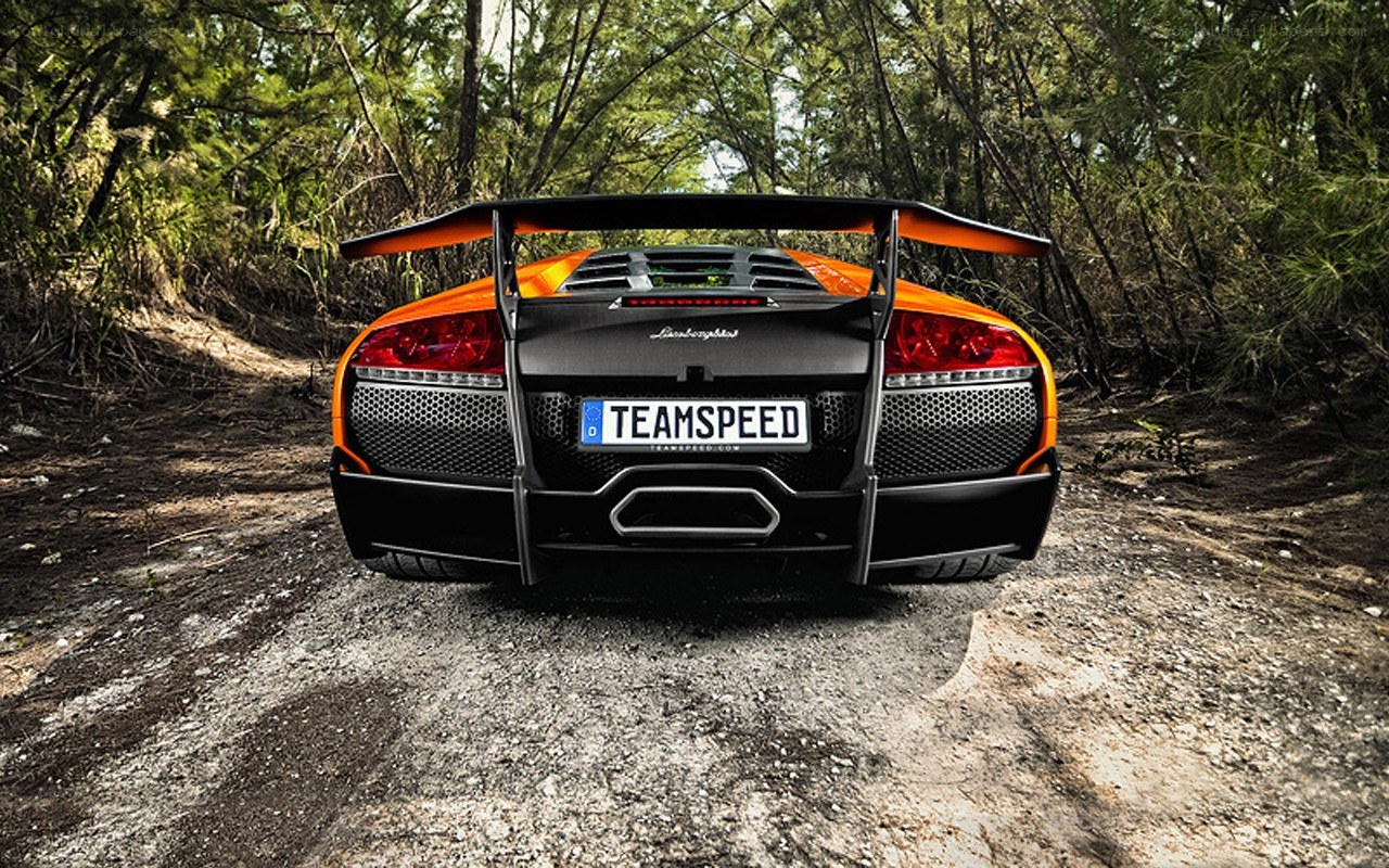 Orange Lamborghini in forest