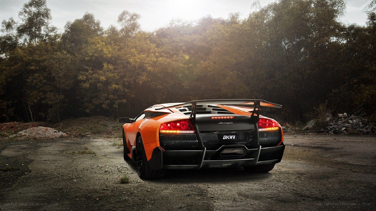 Orange Lamborghini in forest clearing