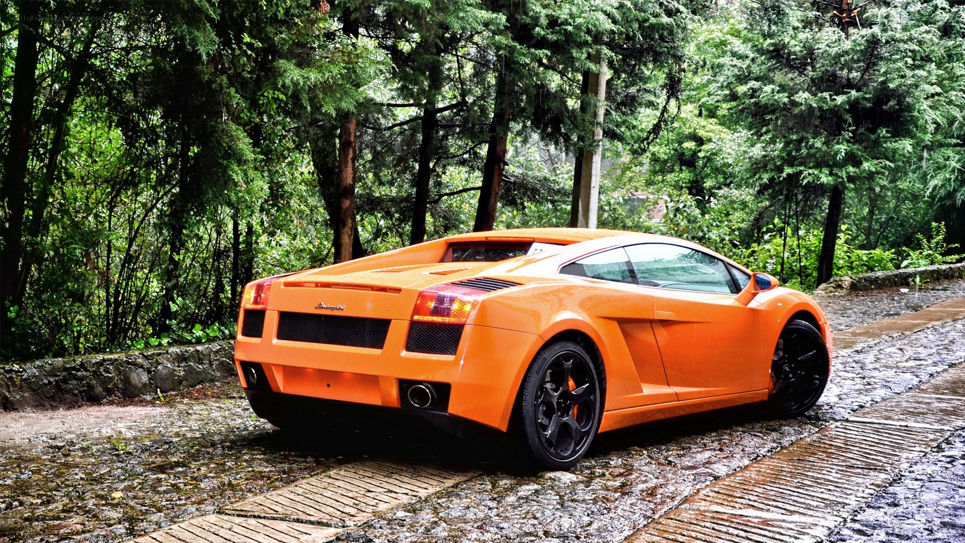 Orange Lamborghini in forest